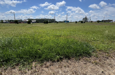 LOTEAMENTO JARDIM IRACEMA